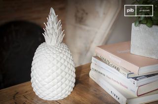 Porzellan Topf Ananas